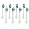Image de TrueLife SonicBrush Compact-series Lot de 8 têtes standard blanches, têtes de rechange spécialement conçues pour un nettoyage précis des dents