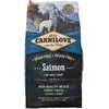 Image de Carnilove 508907 12 kg Adulte Saumon