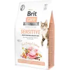 Image de Brit Care Sensitive Grain Free Healthy Digestion Palates délicats.