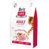 Image de Aliments humides pour Chats VAFO PRAHA s.r.o. Brit Care Cat Adult 2kg Activity Support GF