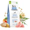 Image de BRIT Care Dog Sustainable Adult Large Breed Chicken & Insect Nourriture sèche pour Chien 12 kg