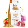 Image de Brit Care Hypoallergénique Junior Large Breed Agneau   Dry Dog Food   12 kg