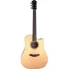 Image de Furch Green Dc-TR a Dreadnought guitare électro-acoustique folk avec housse