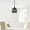 Image de Opviq Suspension Fellini MR-785 à 1 lampe Ø 25cm noir