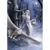 Image de Art Puzzle Anne Stokes - Midnight Messenger
