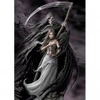 Image de Art Puzzle Anne Stokes - Timeless