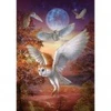 Image de Art Puzzle Hiboux au Clair de Lune