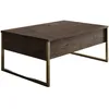 Image de Table basse - LUXE - Walnut Gold - Rectangulaire - Panneaux mélaminés et métal - Noyer et doré - Style chic - 90x60x40 cm