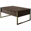 Image de CONCEPT1 Luxe noyer or 90 x 60 x h40cm 618BLY1123