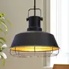 Image de ROYALTECH Suspension Mason, noir, Ø 41 cm, métal, E27