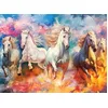 Image de Anatolian Puzzle - Liberté, puzzle 1000 pièces, #1180