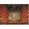 Image de Puzzle 3000 pièces : Théâtre Argentina