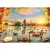 Image de Magnolia Swans near Charles Bridge