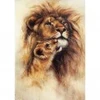 Image de Magnolia Lion et son bébé