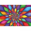 Image de Magnolia Rainbow Petals