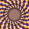 Image de Magnolia Optical Illusion