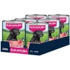 Image de EUKANUBA Life Care Aliment Humide Chien Senior 7 Ans + Toutes Races, Pâtée Riche en Boeuf & Courge, Oméga-3, L-Carnitine, Prébiotiques, sans OGM Colorants Conservateurs, 6 boîtes de 400g