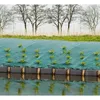 Image de Toile de paillage paysages verte 1 x 10 m traité anti UV 100 g/m² - Bâche de sol anti mauvaises herbes