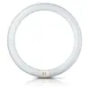 Image de Philips Tube fluo rond G10q 32W 840 Master Circular TL-E