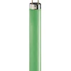 Image de Philips Ampoules Lampe Fluorescente TL-D 18 W/17 EAN : 8711500642981