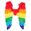 Image de Aptafêtes - AC0048 - Ailes de perroquet multicolores - Taille 50 x 50 cm