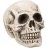 Image de Boland 71988   Crâne Bighead Accessoire d'halloween