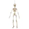 Image de Boland - 72037 Squelette décoratif Blanc 50 cm