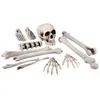 Image de Boland 72157 Set Tête de Mort et os, One Size, Blanc