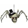 Image de Boland 72158 Décoration Crâne d'araignée 23 x 29 cm