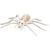 Image de Boland 72403 - Squelette d'araignée, Taille 23 x 14 cm, factice en Plastique, araignée, araignée, décoration pour Halloween, Carnaval ou fête à thème