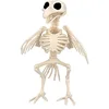 Image de Boland 72406 - Squelette d'oiseau, taille 20 cm, bouche, en plastique, décoration pour Halloween, carnaval, fête à thème, Beige/Noir