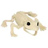Image de Boland 72408 - Grenouille Squelette Taille 17 cm - Bouche mobile - Grenouille - Crapaud - En plastique - Décoration pour Halloween, carnaval ou fête à thème