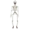 Image de Boland 73042 - Squelette suspendu - Taille 90 cm - Bras et jambes mobiles - Décoration à suspendre - Pour Halloween, carnaval, fête à thème