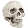 Image de Boland - Décoration Crâne Jawbone, Mâchoire Mobile | Tête de mort pour Halloween, Carnaval et soirée horreur