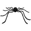 Image de Boland - 74400 - Araignée poilue, 75 x 125 cm, décoration pour Halloween, Carnaval ou fête à thème, décoration de fête effrayante