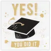 Image de Boland Costumes Sachet 20 Serviettes Diplome en Papier 33x33cm