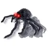 Image de Araignée animée sauteuse 50 cm - Noir