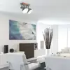 Image de Steinhauer Spot pour plafond Gearwood, à 2 lampes, gris