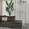 Image de Steinhauer Lampadaire à éclairage indirect LED Zodiac, acier