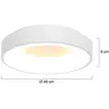 Image de Steinhauer Plafonnier LED Ringlede, 2.700 K, Ø 48 cm, blanc, métal