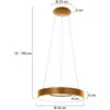 Image de Steinhauer Suspension LED Ringlede, Ø 48 cm, dorée