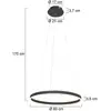 Image de Steinhauer Suspension LED Ringlux, Ø 60 cm, à 2 lampes, noire