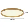 Image de Steinhauer Plafonnier LED Flady, doré, Ø 40 cm direct/indirect