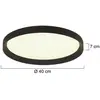 Image de Steinhauer Plafonnier LED Flady, noir, Ø 40 cm, direct/indirect