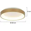 Image de Steinhauer Plafonnier LED Ringlede, doré, hauteur 6 cm, Ø 28 cm