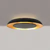 Image de Steinhauer Plafonnier LED Golden Veil, noir/doré, intensité variable, métal