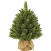 Image de Triumph Tree - Forest Frosted Sapin de Noel avec Toile de Jute Vert Tips 61 - h45xd36
