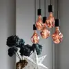 Image de Calex Organic Evo ampoule LED E27 6W dim rosé
