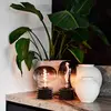 Image de Calex Boden globe LED E27 5 W filament dim gris
