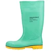 Image de DUNLOP - Bottes de pluie ACIFORT HAZGUARD - Homme (42 FR) (Vert/Jaune)